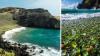 Papakōlea Green Sand Beach: What to know before visiting this rare Hawaii attraction