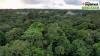 Africa’s forests transformed from carbon sink to carbon source: Why does it matter?