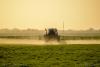 A toxic divide: EPA ignores international cancer warning about dangerous herbicide