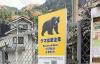 Kyoto Warns Tourists About Bears in 4 Languages on Signs Throughout City