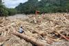 Indonesia investigates illegal logging links in Sumatra Flood debris