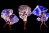 MOMIX brings dance, magic- and surprise-infused ‘Alice’ to San Diego