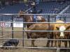 Agribition expected to break attendance record after wrapping up 54th year in Regina