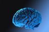 Human brains have five ‘eras’ across lifespan, scientists say
