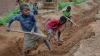 Experts raise alarm over child labour surge