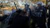 Three injured as Greek farmers clash with police