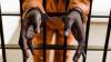 Durban court sentences Malawian man to life imprisonment for raping 13-year-old neighbour