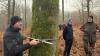 Forest inventory: 80% of Luxembourg's trees are in poor condition