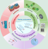 Insights Into the Occurrence, Ecotoxicity, and Biodegradation of Perfluorooctanoic Acid and Perfluorooctanesulfonic Acid in the Marine Environment