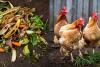 Turning organic waste and manure into valuable, sustainable feed