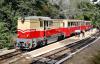 Insider’s Guide: Charming Narrow-Gauge Forest Railways in Hungary