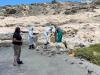 Lüderitz mock oil-spill drill tests Debmarine Namibia and seabird rescuers’ readiness