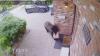 Have You Seen This? Black bear steals food delivery