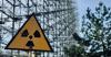 Scientists Say a Fungus in Chernobyl’s Exclusion Zone Is Thriving by Feeding on Radiation