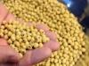 Brazil’s 2025/26 soybean planting hits 89pc
