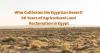 Who Cultivates the Egyptian Desert? 60 Years of Agricultural Land Reclamation in Egypt
