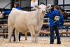 2025 Canadian Western Agribition - the largest show in 54 years