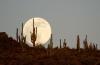 When to see the final supermoon of 2025 in Arizona this week