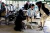 UN: One in Four in Afghanistan Has a Disability, Urges Immediate Inclusion
