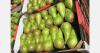 "Conference is the most preferred pear variety by Moroccan consumers"