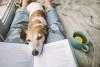 5 New Dog Books That Make Terrific Holiday Gifts For Dog Lovers