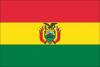 Vehicle Plunge into River in Bolivia Kills Five People