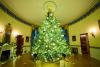 How a Michigan Christmas tree landed in the White House with Melania Trump