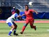 Gladiators, Warriors owed by NFA 