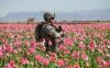 Capstone report on US bid to rebuild Afghanistan says cost far exceeded Marshall Plan price tag
