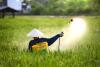 Agrochemical Industry Forecasts Six to Seven Percent Rise in FY26