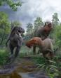 Science National Geographic Nanotyrannus likely was a tiny adult dino and not a teen T. rex