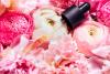 Scientists Say Rose Essential Oil Might Literally Beef Up Your Brain Tissue