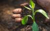 Soil Association seeks feedback from NI agri-food sector