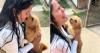 She broke into tears! She returns to Cuba after three years, and her little dog recognizes her instantly