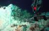 “We Were Stunned”: Scientists Uncover Massive Hydrothermal Field in the Mediterranean