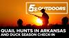Growing quail opportunities in Arkansas, duck season checkin, and permit reminders | 5OUTDOORS