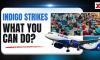 IndiGo Airlines Faces Major Flight Cancellations, Strands Thousands