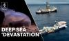 Deep-sea Mining Test Causes 37% Drop in Marine Biodiversity