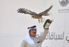 Kuwait host first UAE World Falcon Racing Cup