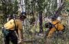 Bennet, Hickenlooper concerned over analysis finding 36% decline in U.S. Forest Service wildfire mitigation work this year
