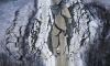 7.0-Magnitude Earthquake Strikes Near Alaska-Canada Border