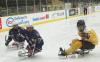 Canada vs. USA for gold in Hockey Canada's Para Cup finals