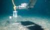 Deep-Sea Mining Raises Environmental Concerns, Study Reveals
