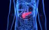 In major breakthrough, scientists develop therapy that can track, destroy pancreatic cancer cells