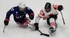 Canada falls to the U.S. 2-0 in final of Para Cup hockey tournament
