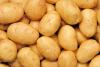 Bangladesh to host Potato Festival 2025 in Dhaka on Dec 12-13