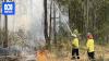 Falling tree kills firefighter in northern NSW