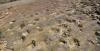 World’s Largest Dinosaur Tracks Site Found in Bolivia