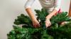 Dublin launches artificial Christmas tree recycling programme