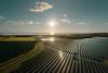 Alight inaugurates Lidsø solar park in Denmark